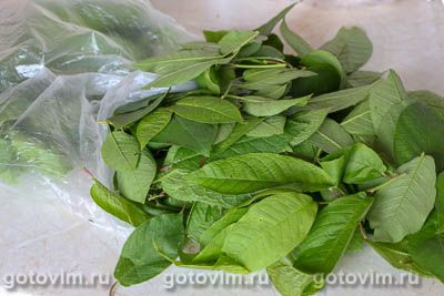 Ферментированный чай из листьев черемухи, Шаг 01