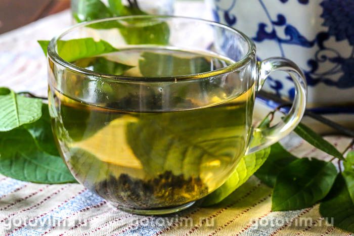 Ферментированный чай из листьев черемухи. Фотография рецепта
