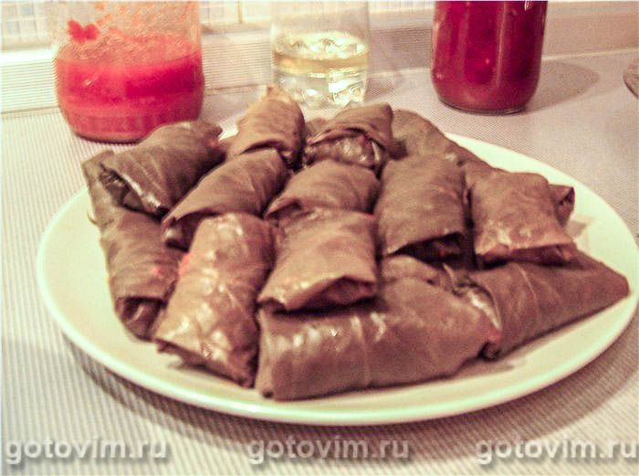 ����������, ��� 05