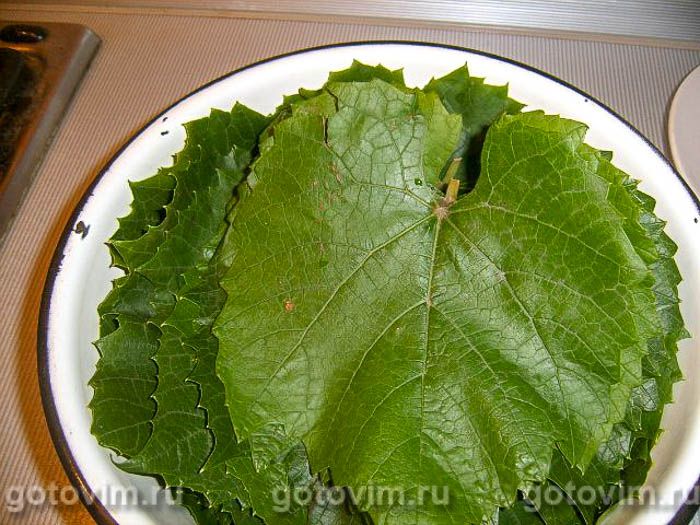 �����, ��� 03