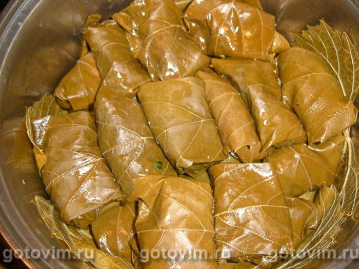 �����, ��� 04