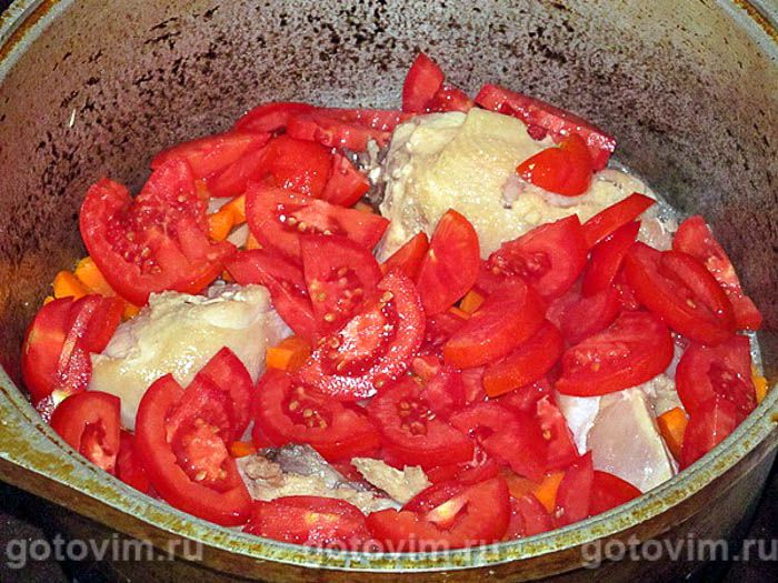 �������, ��� 02