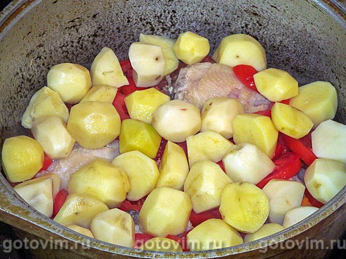 �������, ��� 03