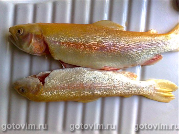 ����, ���������� � ����� , ��� 01