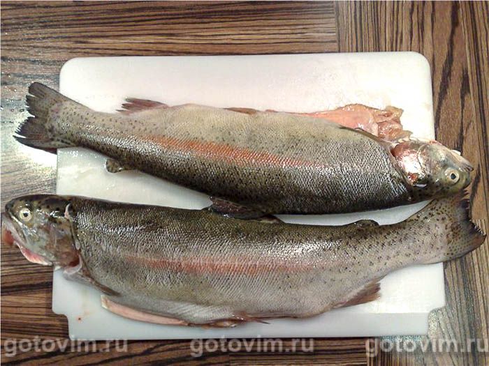 ������, ���������� � �������� ������, ������� � ���������� �������, ��� 01