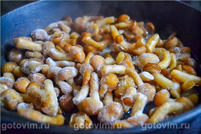 �������� � �������, ��� 01