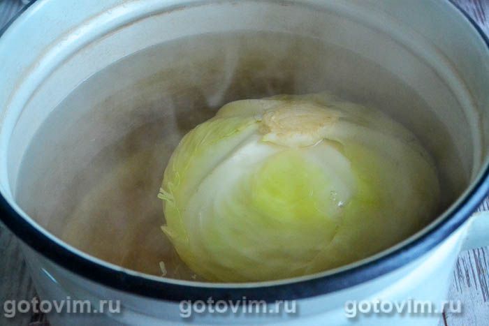 ������� � �������� ������, �������� � ��������, ��� 06