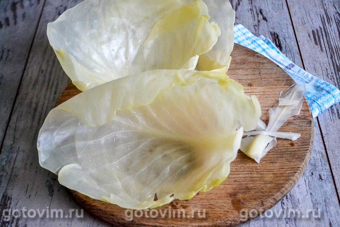 ������� � �������� ������, �������� � ��������, ��� 07