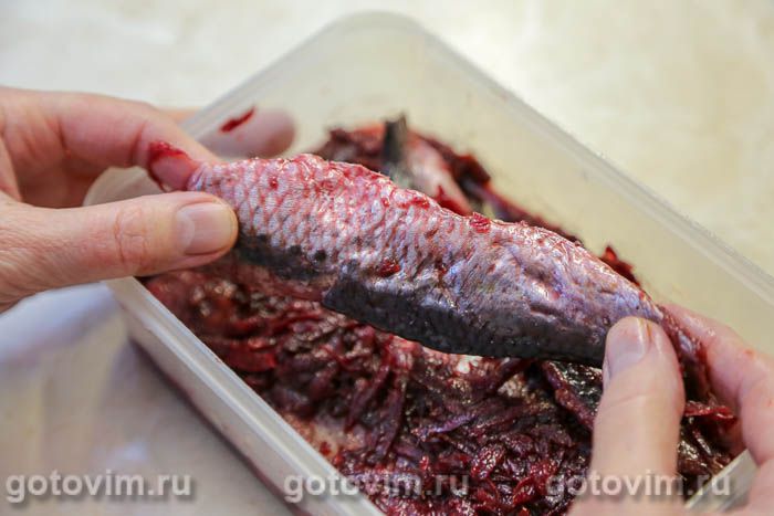 ����� ������� (�� �������), ��� 06