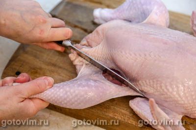 Как разделать курицу, Шаг 02