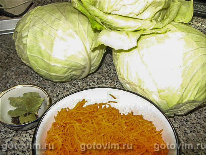 ������� �������� ��������, ��� 01