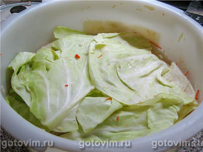 ������� �������� ��������, ��� 04