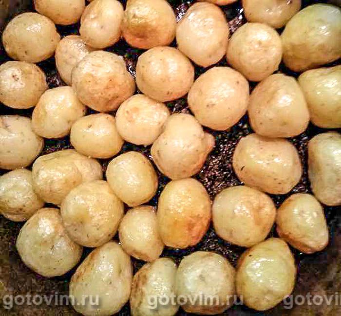 ������� ��������� � �������, �������� � �����, ��� 01