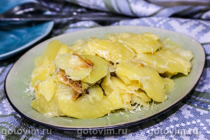 ������������ ��������� � ����� � �����������. ���������� �������