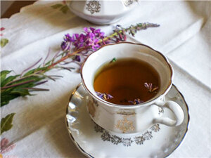 Иван-чай (копорский чай, русский чай)