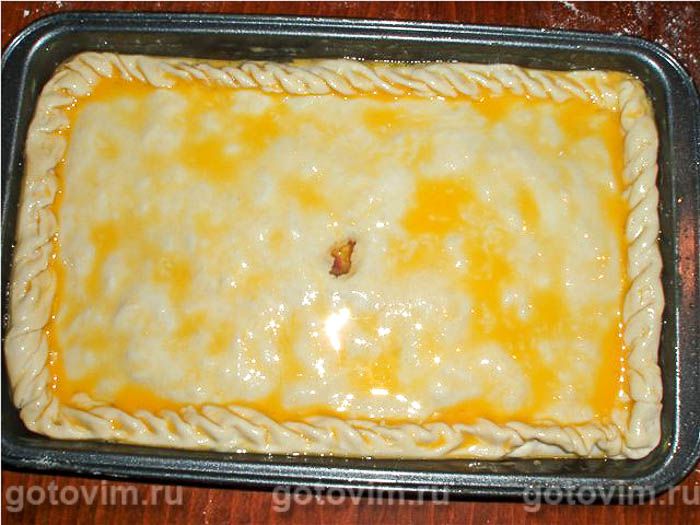 ������, ��� 03