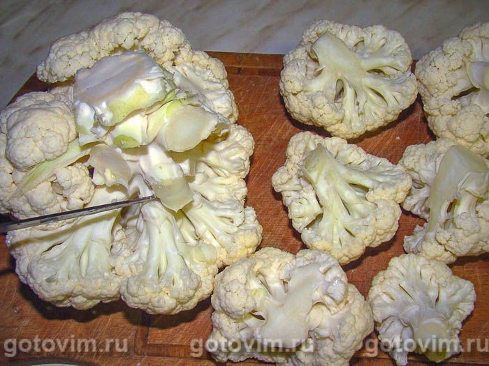 ������� ����, ���������� � ������� ��������, ��� 01