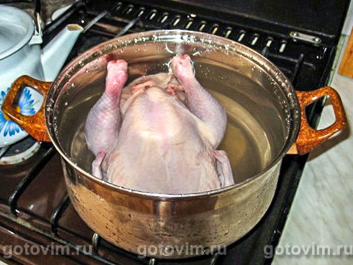 ������ , ��� 01