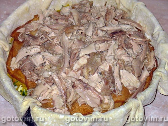 ������ , ��� 10