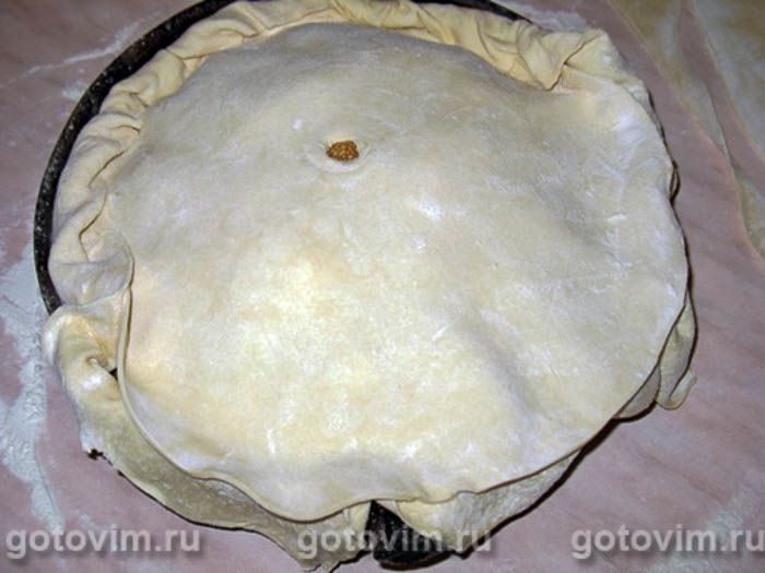 ������ , ��� 12