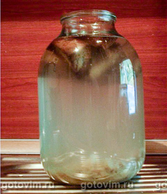 ����, ��� 02