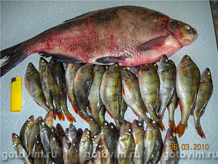 ���� � ������ � ��������� �������� , ��� 01