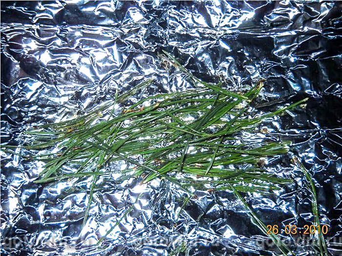 ���� � ������ � ��������� �������� , ��� 02