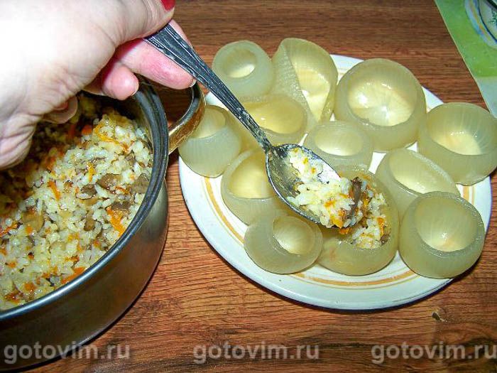 ������� �������� � ��������� � ����� (������������� ���), ��� 06