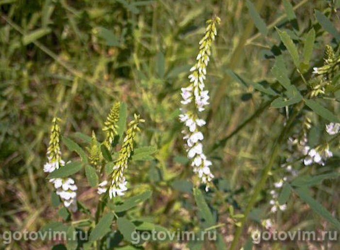 ������ ����������� � ������������� �������   , ��� 02