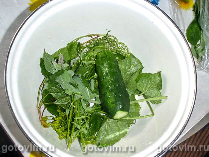 ������ ����������� � ������������� �������   , ��� 03