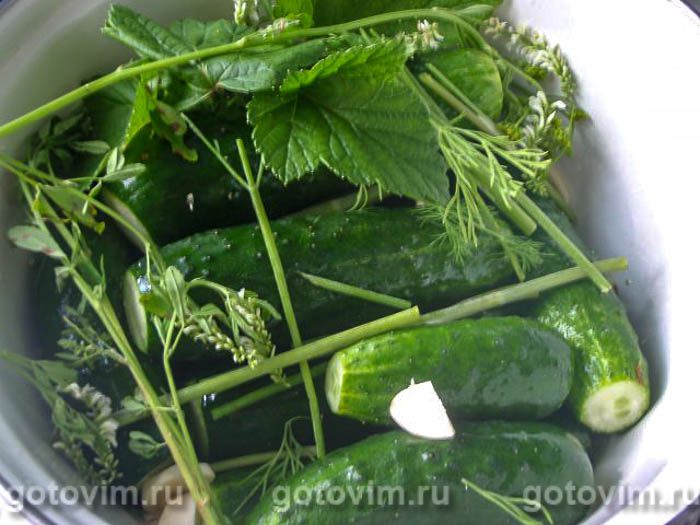 ������ ����������� � ������������� �������   , ��� 04