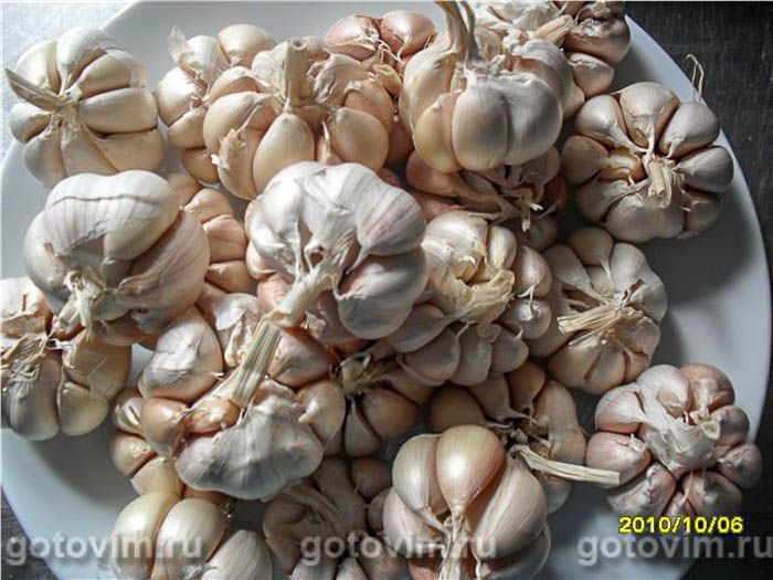 ������������ ������ , ��� 01