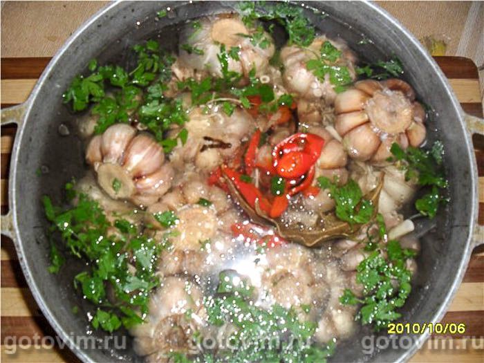 ������������ ������ , ��� 04