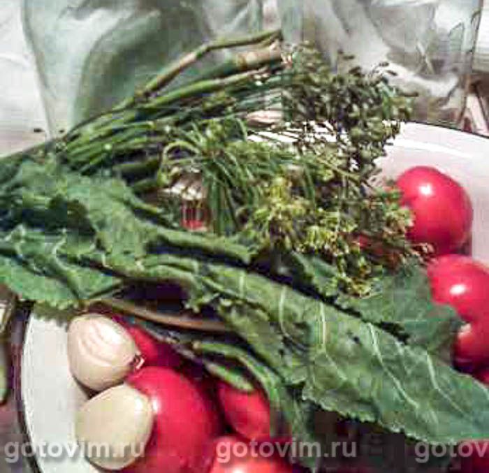 ������������ ��������, ��� 01