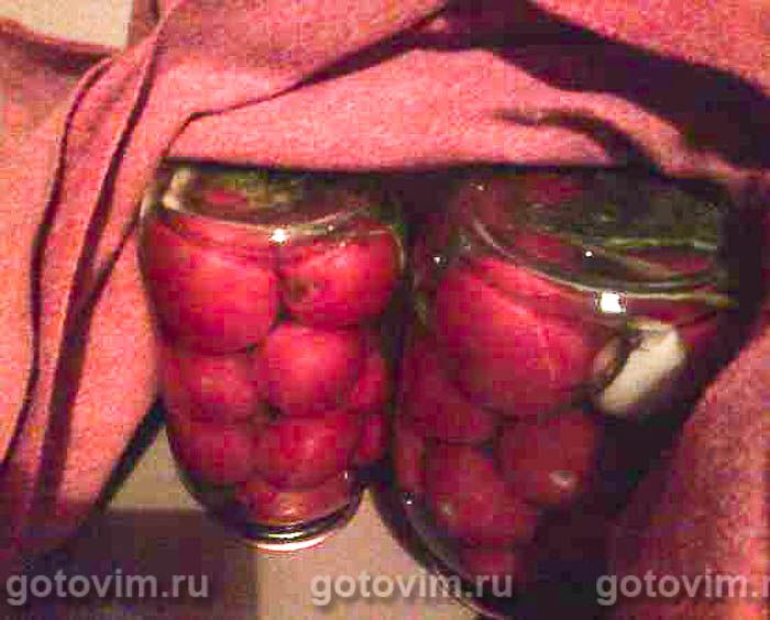 ������������ ��������, ��� 04