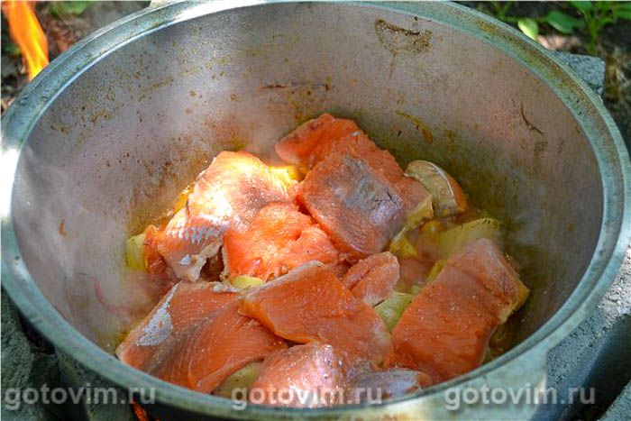 ����������� ��� ������� (������ ������), ��� 05