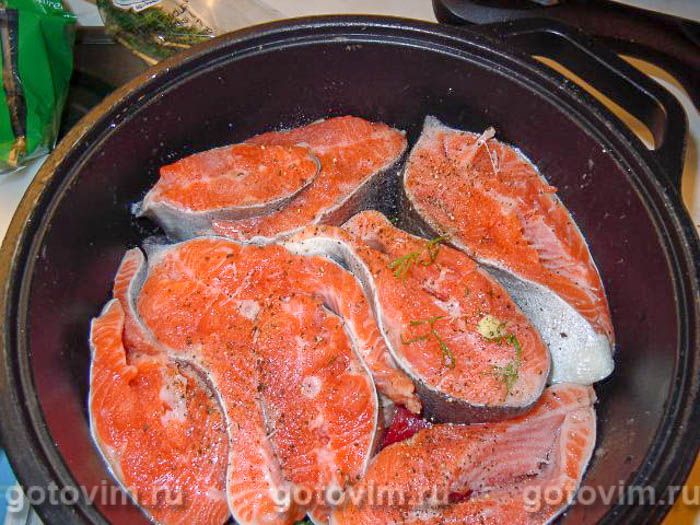 �� ��� �� ������ , ��� 02