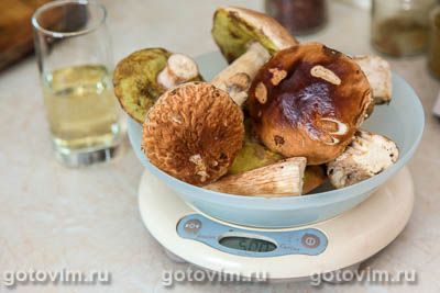 Сабуко и оссобуко с белыми грибами и сливками