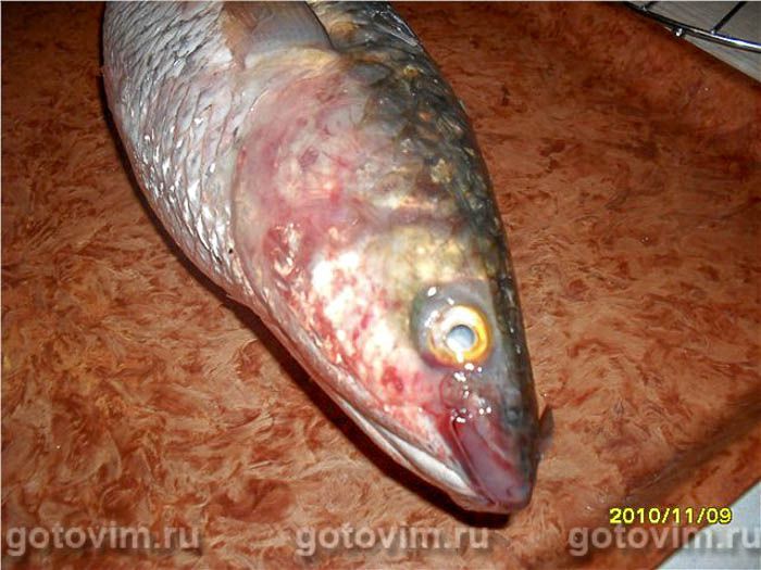 ������������� ��������, ��� 01