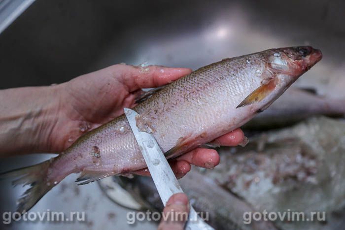 ������, �������� � ��������� � ������ � �����������, ��� 01