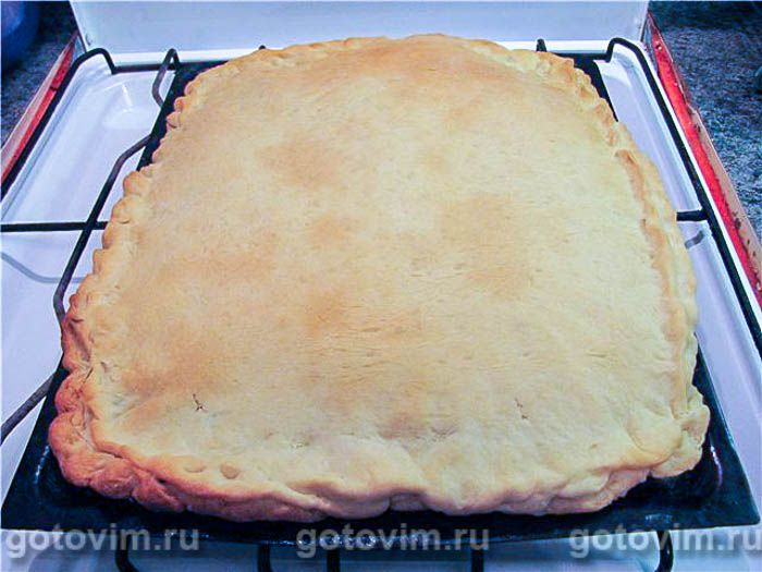 ������� ����� �� ��������, ��� 06