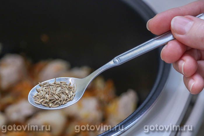 ���� �� ��������, ����� � ����������� � �����������, ��� 04