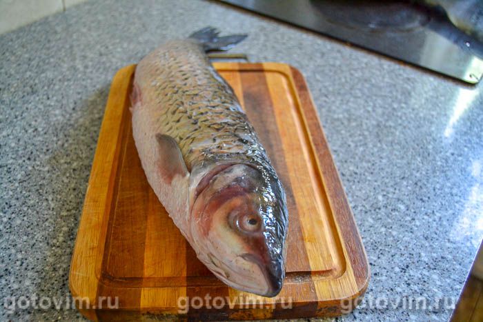 ����, ���������� ��-��������� (������ ����������� �����), ��� 01