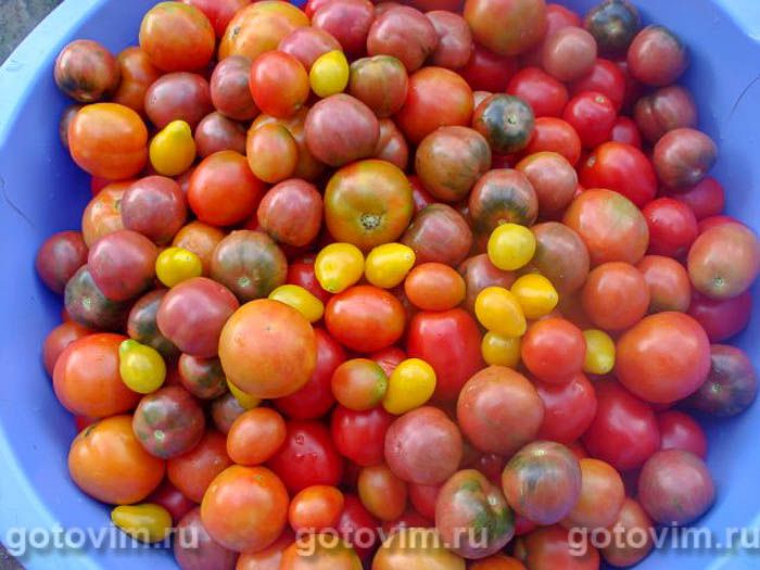 ��������, ���������������� � �������� � ������ � ������� ������, ��� 01