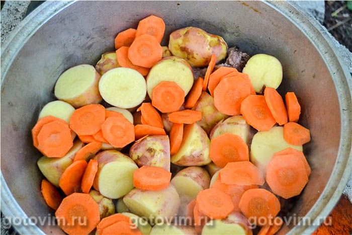 ������ ���� � �������� � ������, ��� 03