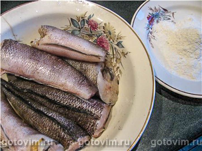 ���� ��� ������ ����� (� ���������) , ��� 01