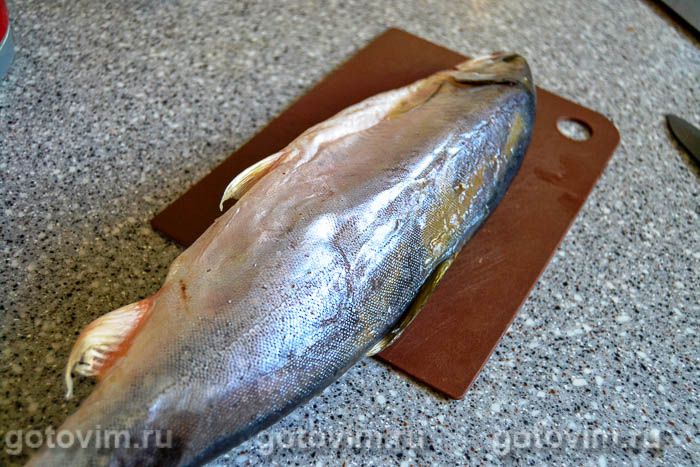 ���� � �������� �����, ��� 01