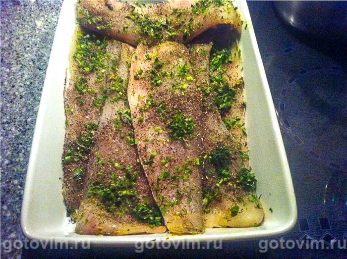 ���� ��� �������� �� ���� , ��� 04