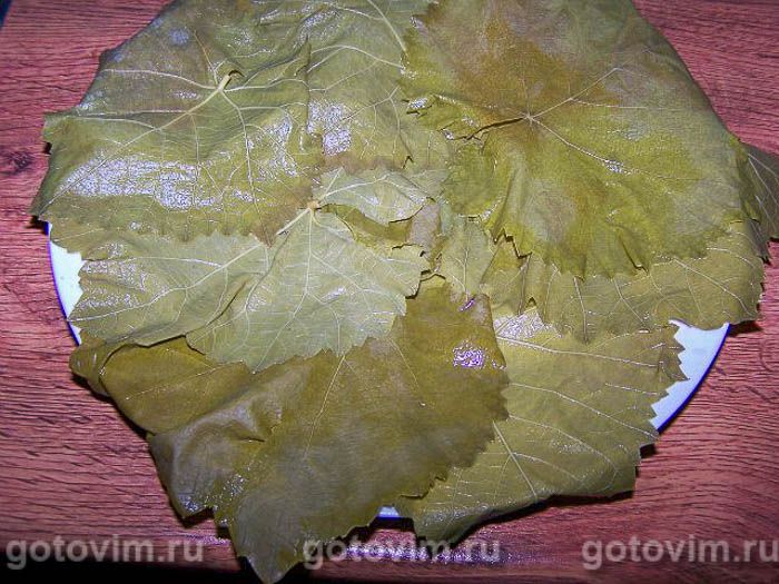 ������� ����� � ����� , ��� 04