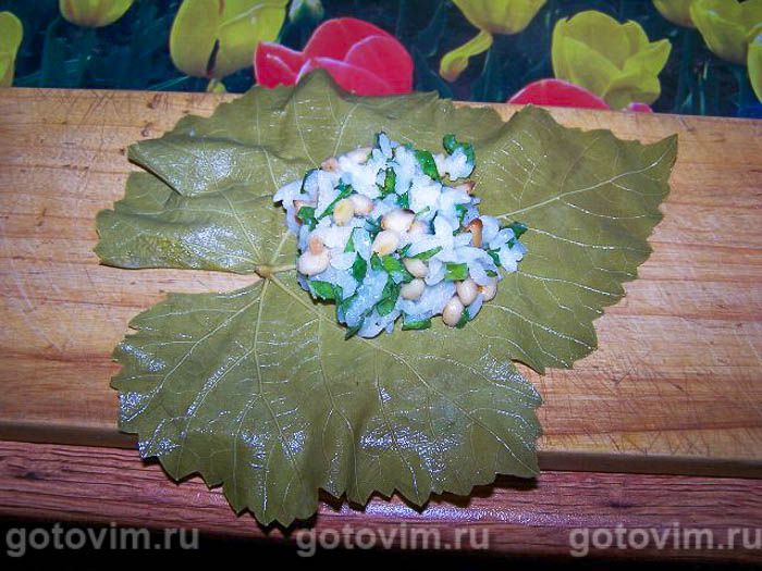 ������� ����� � ����� , ��� 06